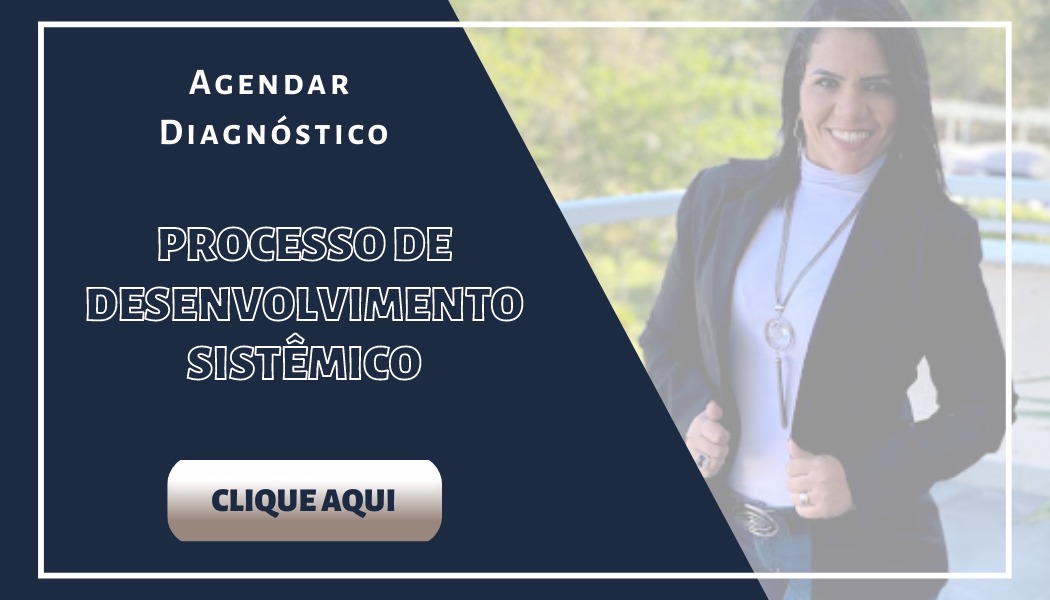 Processo de desenvolvimento sistêmico